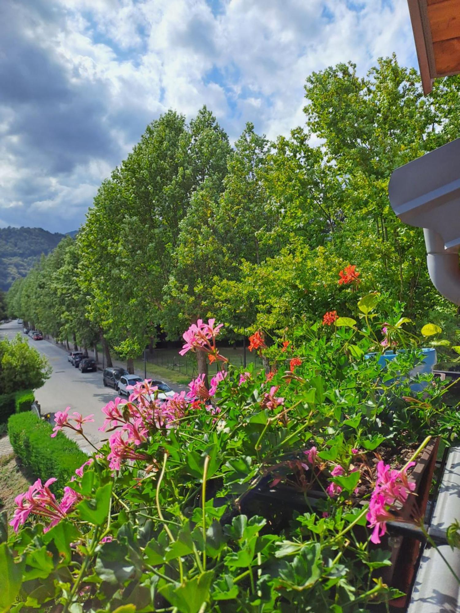 레비코온천 Casa Alby 아파트 외부 사진